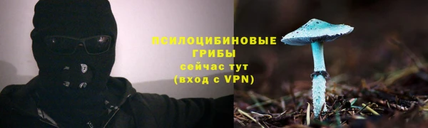 кокс Армянск