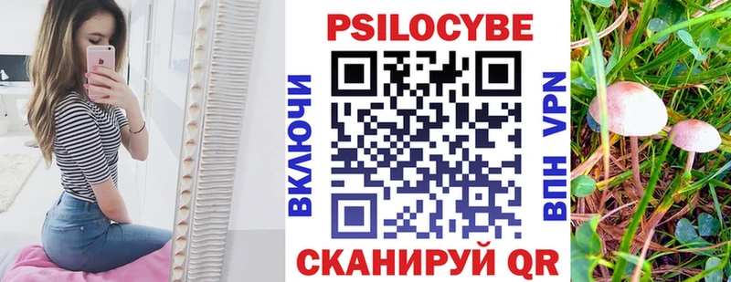 Галлюциногенные грибы Cubensis  Осташков 